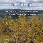 14 - Fulufjellets National Parks-this Is The Place Where Norway And Sweden Meet In A Large Protected Area For Animals And Nature *