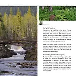 14 - Fulufjellets National Parks-this Is The Place Where Norway And Sweden Meet In A Large Protected Area For Animals And Nature Vakantiehuis Trysil