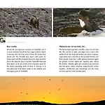 Σπίτι διακοπών 14 - Fulufjellets National Parks-this Is The Place Where Norway And Sweden Meet In A Large Protected Area For Animals And Nature *