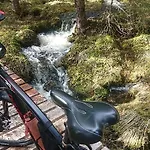 14 - Fulufjellets National Parks-this Is The Place Where Norway And Sweden Meet In A Large Protected Area For Animals And Nature *