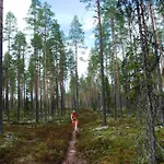 Vakantiehuis 14 - Fulufjellets National Parks-this Is The Place Where Norway And Sweden Meet In A Large Protected Area For Animals And Nature