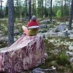 14 - Fulufjellets National Parks-this Is The Place Where Norway And Sweden Meet In A Large Protected Area For Animals And Nature Ferienhaus Trysil
