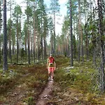 Vakantiehuis 14 - Fulufjellets National Parks-this Is The Place Where Norway And Sweden Meet In A Large Protected Area For Animals And Nature