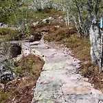 14 - Fulufjellets National Parks-this Is The Place Where Norway And Sweden Meet In A Large Protected Area For Animals And Nature Vakantiehuis *