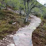 14 - Fulufjellets National Parks-this Is The Place Where Norway And Sweden Meet In A Large Protected Area For Animals And Nature Holiday home Trysil