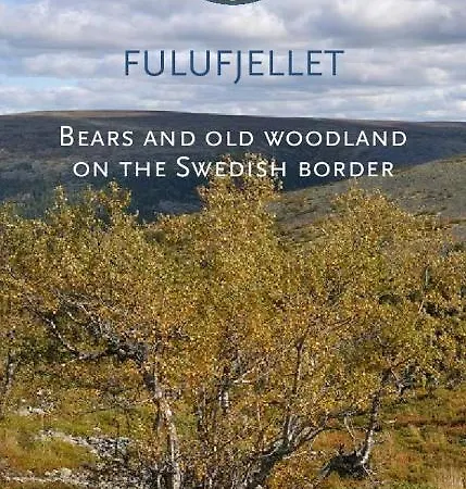 14 - Fulufjellets National Parks-this Is The Place Where Norway And Sweden Meet In A Large Protected Area For Animals And Nature *