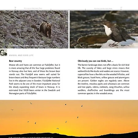 Casa de Férias 14 - Fulufjellets National Parks-this Is The Place Where Norway And Sweden Meet In A Large Protected Area For Animals And Nature *