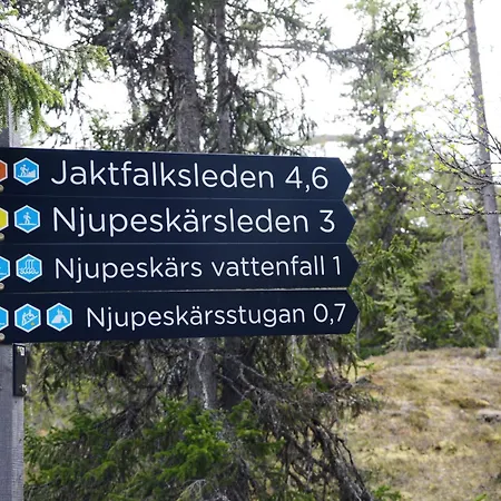 14 - Fulufjellets National Parks-this Is The Place Where Norway And Sweden Meet In A Large Protected Area For Animals And Nature Trysil