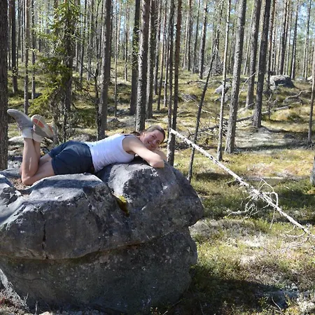 14 - Fulufjellets National Parks-this Is The Place Where Norway And Sweden Meet In A Large Protected Area For Animals And Nature 펜션