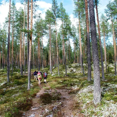 14 - Fulufjellets National Parks-this Is The Place Where Norway And Sweden Meet In A Large Protected Area For Animals And Nature Casa de Férias