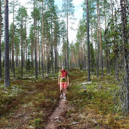 Casa de Férias 14 - Fulufjellets National Parks-this Is The Place Where Norway And Sweden Meet In A Large Protected Area For Animals And Nature
