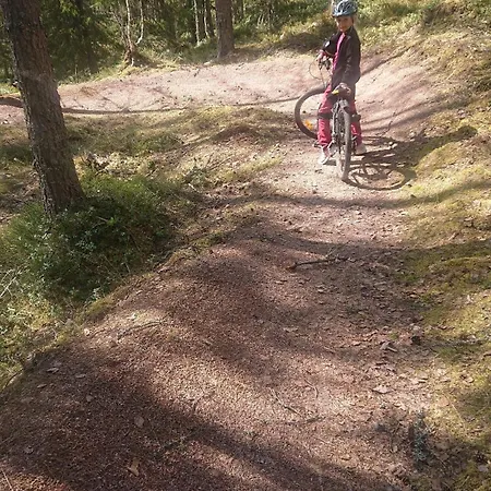 14 - Fulufjellets Nasjonalparker - Natur-, Dyre- Og Fugleopplevelser Trysil