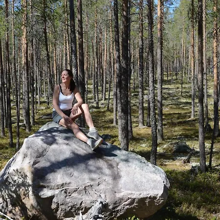 14 - Fulufjellets National Parks-this Is The Place Where Norway And Sweden Meet In A Large Protected Area For Animals And Nature * 트리실