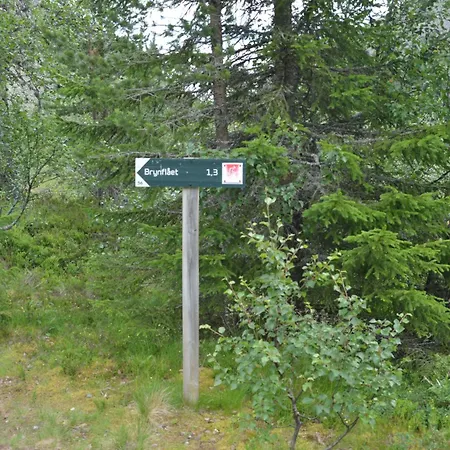 Casa de Férias 14 - Fulufjellets National Parks-this Is The Place Where Norway And Sweden Meet In A Large Protected Area For Animals And Nature Trysil