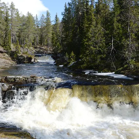 14 - Fulufjellets Nasjonalparker - Natur-, Dyre- Og Fugleopplevelser Trysil