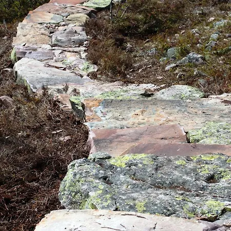 14 - Fulufjellets National Parks-this Is The Place Where Norway And Sweden Meet In A Large Protected Area For Animals And Nature Casa de Férias *