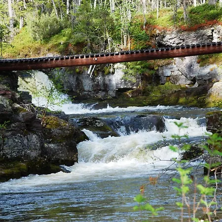 Feriehus 14 - Fulufjellets Nasjonalparker - Natur-, Dyre- Og Fugleopplevelser *