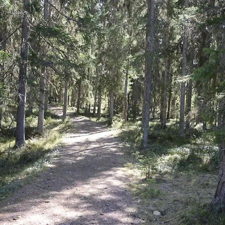 Feriehus 14 - Fulufjellets Nasjonalparker - Natur-, Dyre- Og Fugleopplevelser *