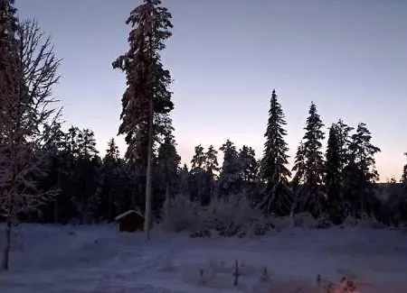 14 - Fulufjellets Nasjonalparker - Natur-, Dyre- Og Fugleopplevelser