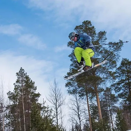 Feriehus 14 - Fulufjellets Nasjonalparker - Natur-, Dyre- Og Fugleopplevelser Trysil
