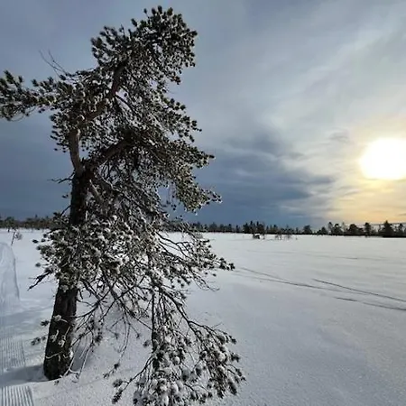 14 - Fulufjellets Nasjonalparker - Natur-, Dyre- Og Fugleopplevelser Trysil