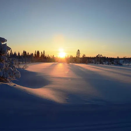 14 - Fulufjellets Nasjonalparker - Sno - Alpint - Langrenn - Snoscooter * Trysil