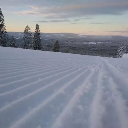 14 - Fulufjellets Nasjonalparker - Natur-, Dyre- Og Fugleopplevelser
