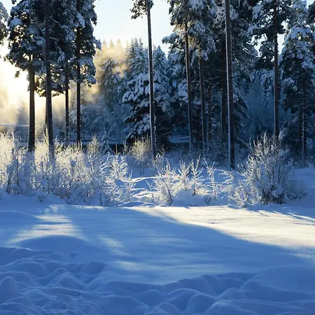 Casa de Férias 14 - Fulufjellets Nasjonalparker - Sno - Alpint - Langrenn - Snoscooter Trysil