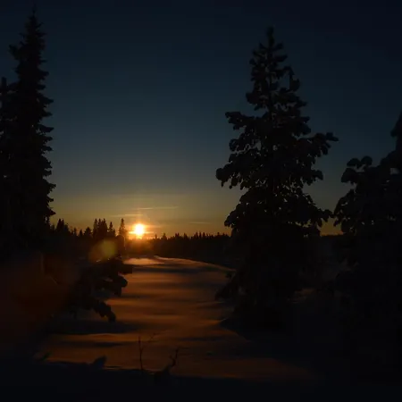 14 - Fulufjellets Nasjonalparker - Natur-, Dyre- Og Fugleopplevelser *