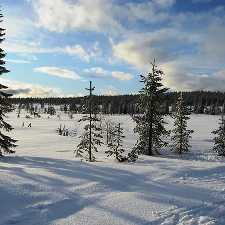14 - Fulufjellets Nasjonalparker - Natur-, Dyre- Og Fugleopplevelser Trysil