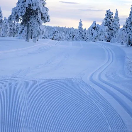 14 - Fulufjellets Nasjonalparker - Natur-, Dyre- Og Fugleopplevelser * Trysil