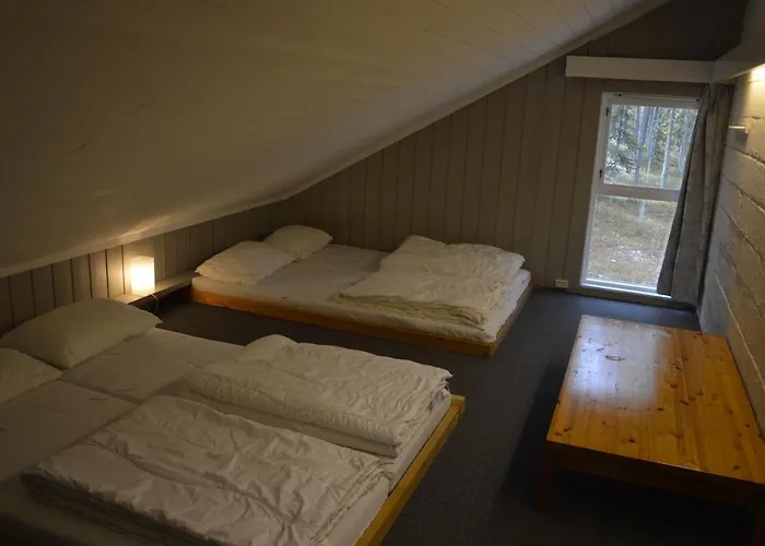 14 - Fulufjellets Nasjonalparker - Sno - Alpint - Langrenn - Snoscooter * Trysil