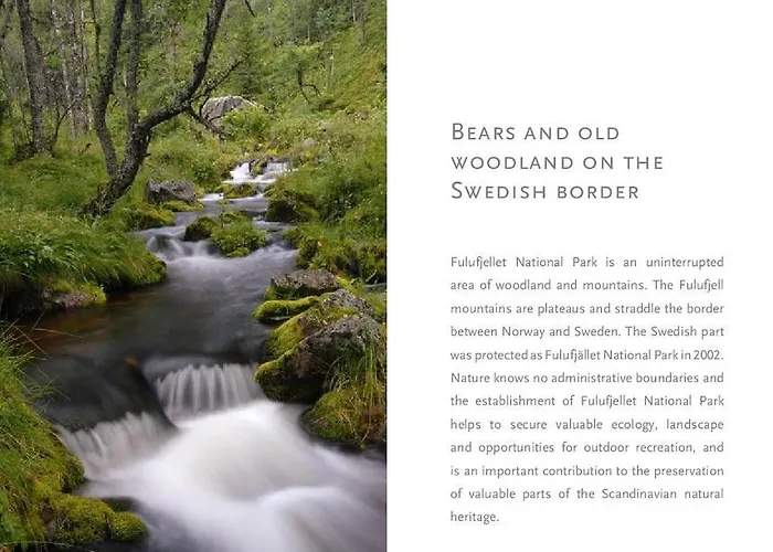 14 - Fulufjellets National Parks-this Is The Place Where Norway And Sweden Meet In A Large Protected Area For Animals And Nature Feriehus Trysil