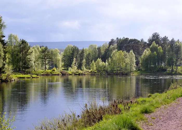 Feriehus 14 - Fulufjellets National Parks-this Is The Place Where Norway And Sweden Meet In A Large Protected Area For Animals And Nature *