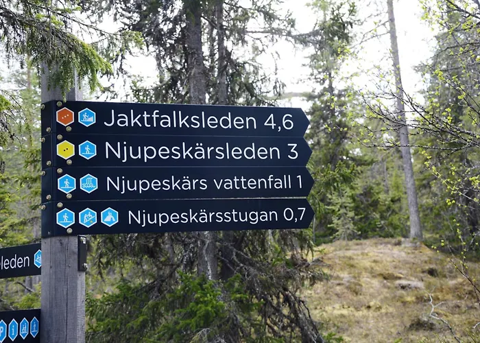 14 - Fulufjellets National Parks-this Is The Place Where Norway And Sweden Meet In A Large Protected Area For Animals And Nature Trysil