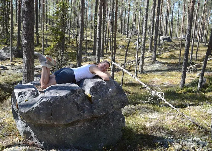 14 - Fulufjellets National Parks-this Is The Place Where Norway And Sweden Meet In A Large Protected Area For Animals And Nature Feriehus