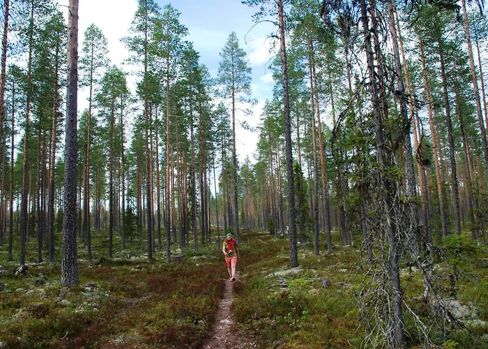 Feriehus 14 - Fulufjellets National Parks-this Is The Place Where Norway And Sweden Meet In A Large Protected Area For Animals And Nature