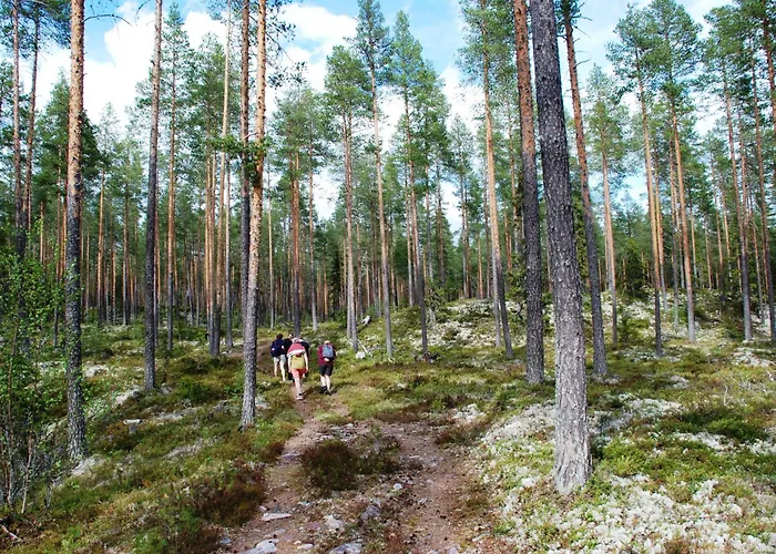 14 - Fulufjellets National Parks-this Is The Place Where Norway And Sweden Meet In A Large Protected Area For Animals And Nature Feriehus