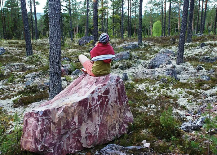 14 - Fulufjellets National Parks-this Is The Place Where Norway And Sweden Meet In A Large Protected Area For Animals And Nature Feriehus Trysil