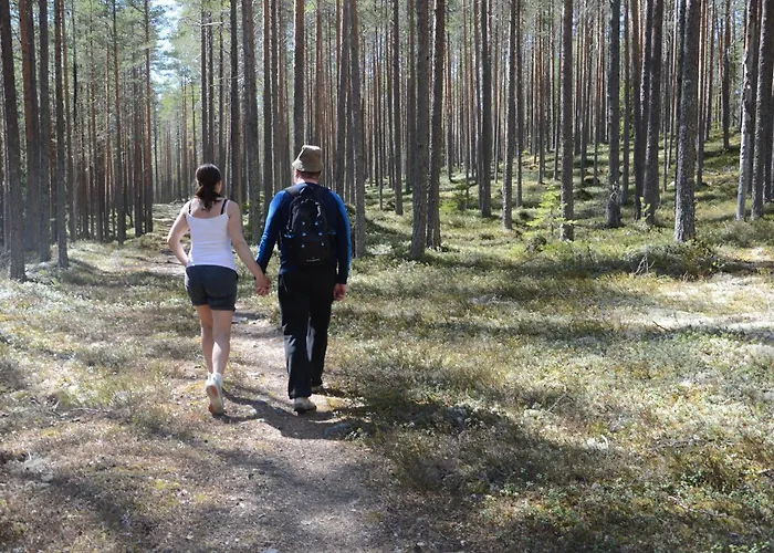 14 - Fulufjellets National Parks-this Is The Place Where Norway And Sweden Meet In A Large Protected Area For Animals And Nature * Trysil