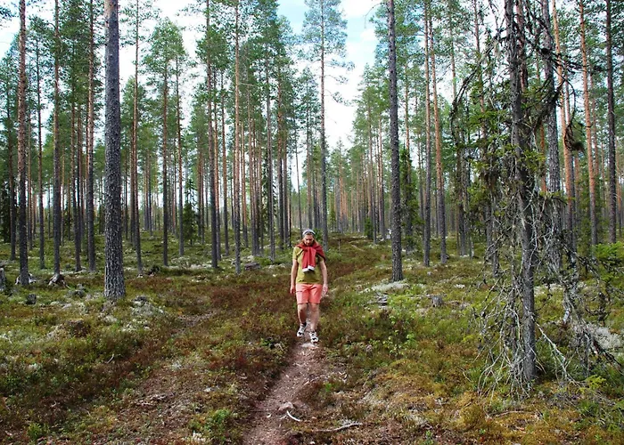 Feriehus 14 - Fulufjellets National Parks-this Is The Place Where Norway And Sweden Meet In A Large Protected Area For Animals And Nature