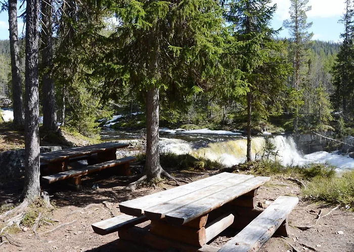 14 - Fulufjellets National Parks-this Is The Place Where Norway And Sweden Meet In A Large Protected Area For Animals And Nature Feriehus Trysil