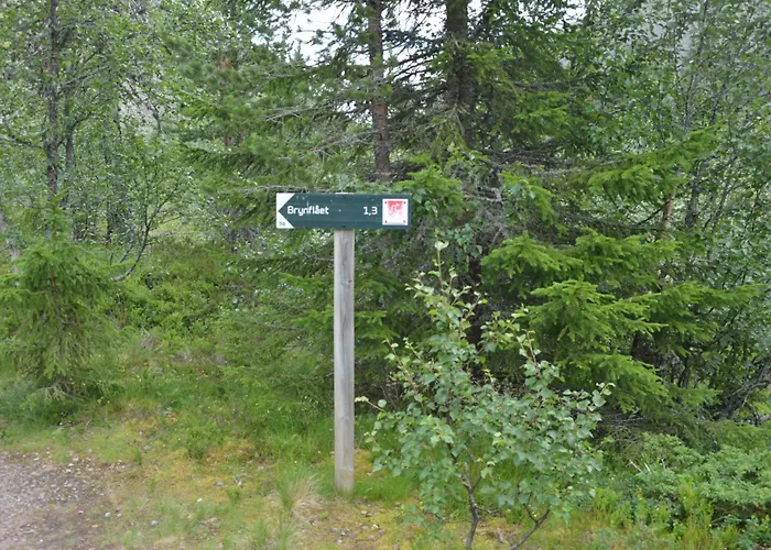 Feriehus 14 - Fulufjellets National Parks-this Is The Place Where Norway And Sweden Meet In A Large Protected Area For Animals And Nature Trysil