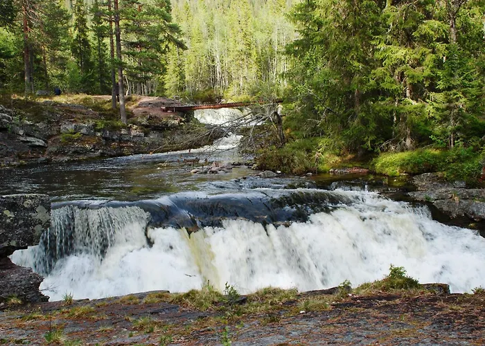 14 - Fulufjellets Nasjonalparker - Sno - Alpint - Langrenn - Snoscooter Feriehus Trysil