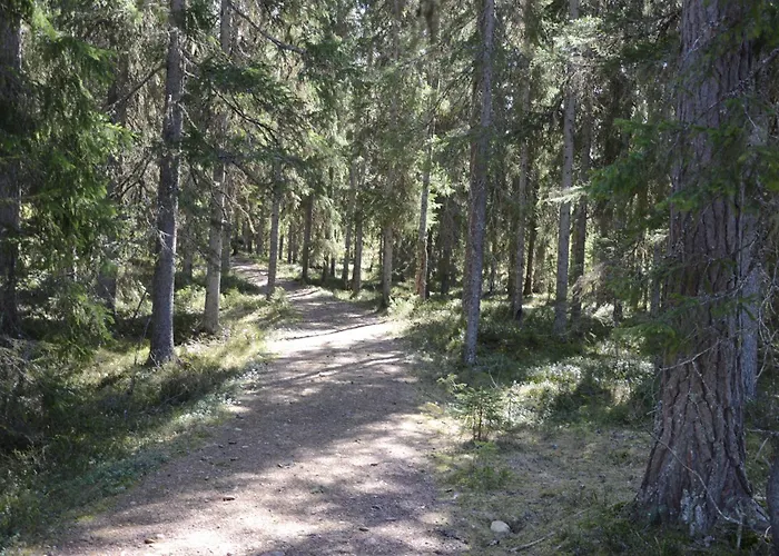 Feriehus 14 - Fulufjellets National Parks-this Is The Place Where Norway And Sweden Meet In A Large Protected Area For Animals And Nature *