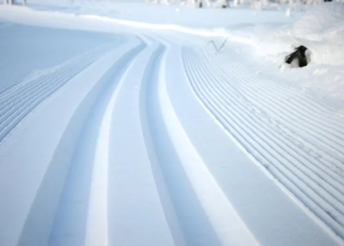 14 - Fulufjellets Nasjonalparker - Sno - Alpint - Langrenn - Snoscooter