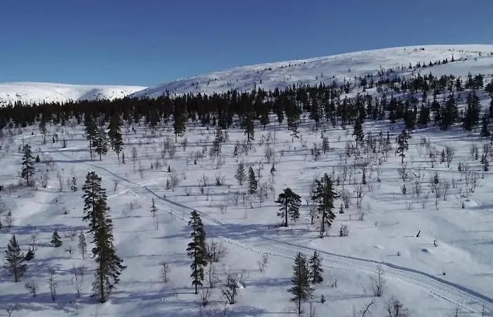 14 - Fulufjellets Nasjonalparker - Sno - Alpint - Langrenn - Snoscooter Casa de Férias