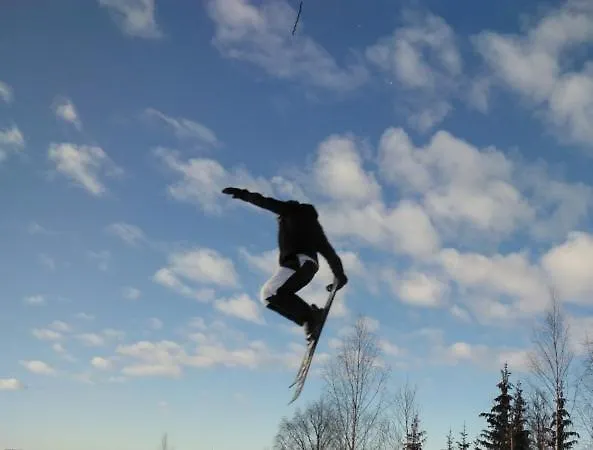 14 - Fulufjellets Nasjonalparker - Sno - Alpint - Langrenn - Snoscooter Feriehus Trysil