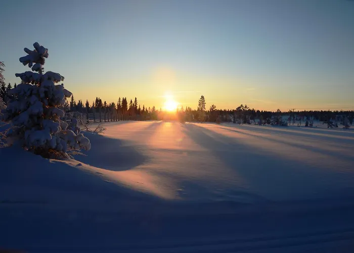 14 - Fulufjellets Nasjonalparker - Sno - Alpint - Langrenn - Snoscooter * Trysil