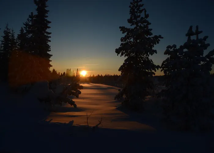 Дом отдыха 14 - Fulufjellets Nasjonalparker - Sno - Alpint - Langrenn - Snoscooter